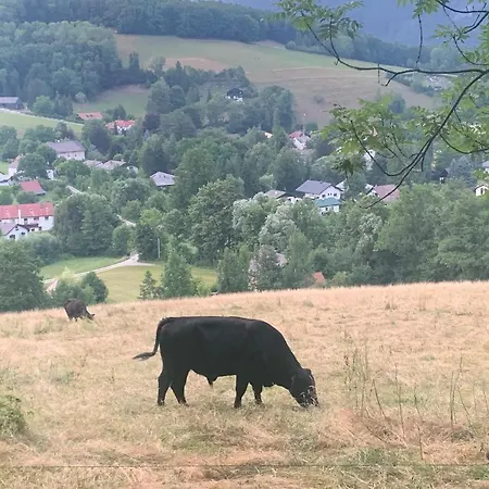 Kleines Romantisches Chalet In Der Semmering-Rax Region * Neunkirchen